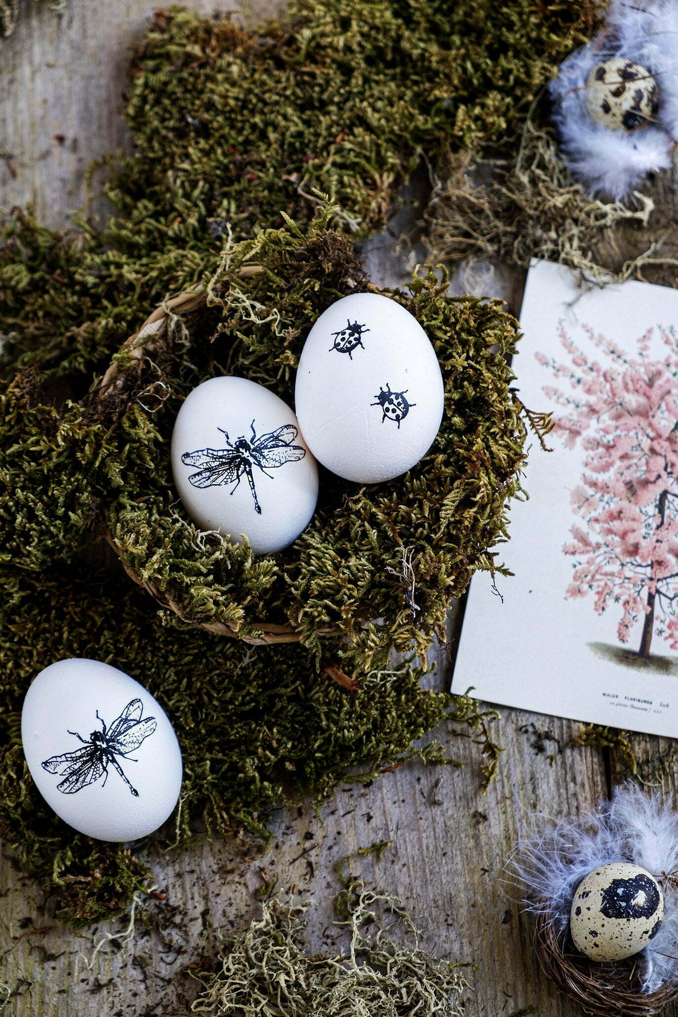 strijd Port Sluimeren Eieren decoreren met stickers - Pasen – ElsaRblog